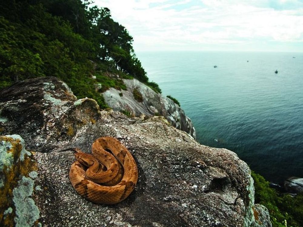 世界上不能去的十大禁地,世界上恐怖的禁止旅游禁地