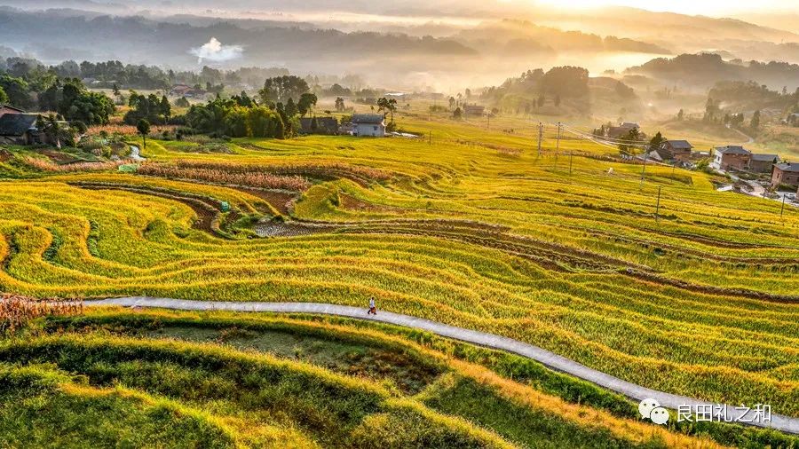 良田·礼之和小程序商城即将上线--送正确的礼！送礼无忧