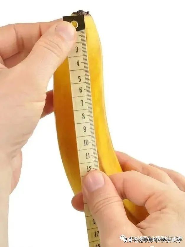 丁丁变形记-“延长/增粗术”