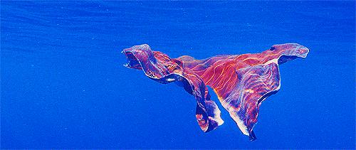 王者里面貂蝉和哪个英雄差不多,这才是真正的王者荣耀貂蝉