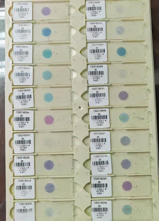 教你远离危及女性生命的四大癌症,女性健康的头号杀手你了解多少