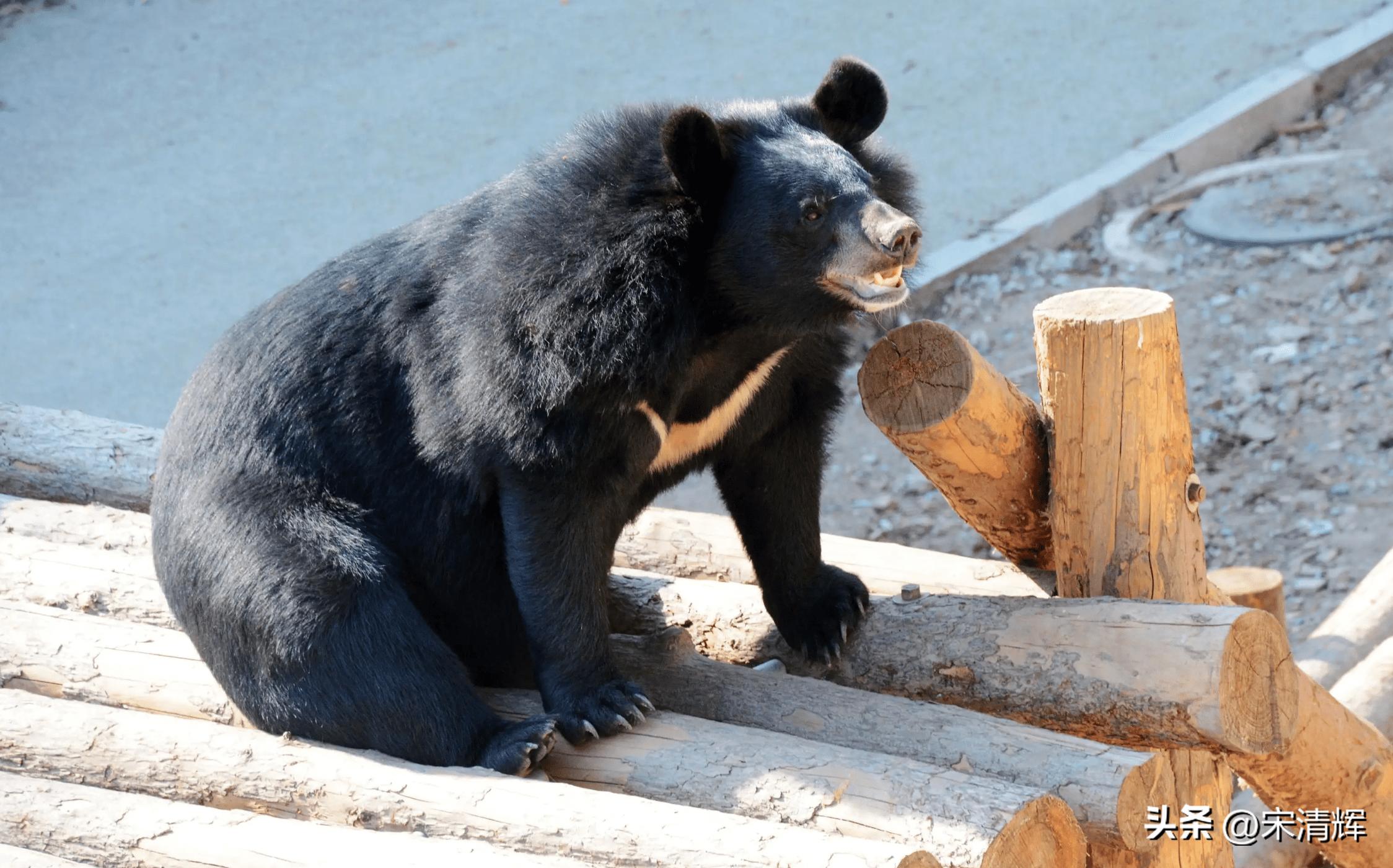 宋清辉谈st股票,宋清辉2018年a股ipo市场三大走向