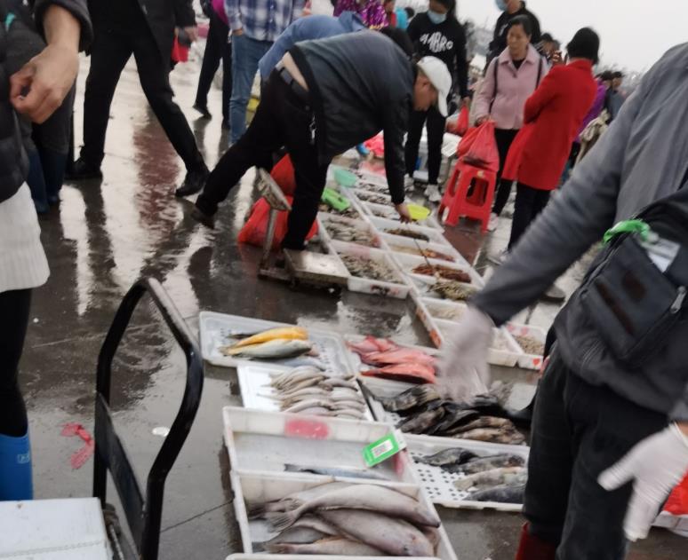 北海的海鲜便宜还是防城港的便宜 (北海吃哪些海鲜便宜)