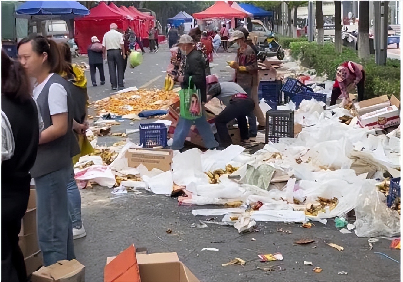 30箱香蕉被哄抢什么地方,30箱香蕉被抢