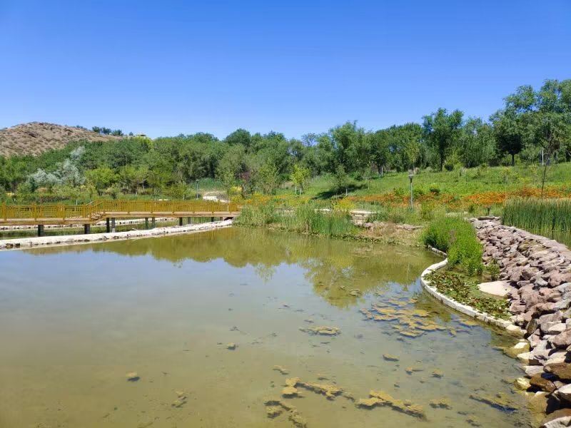 近山近水的意思,近山近水近自然
