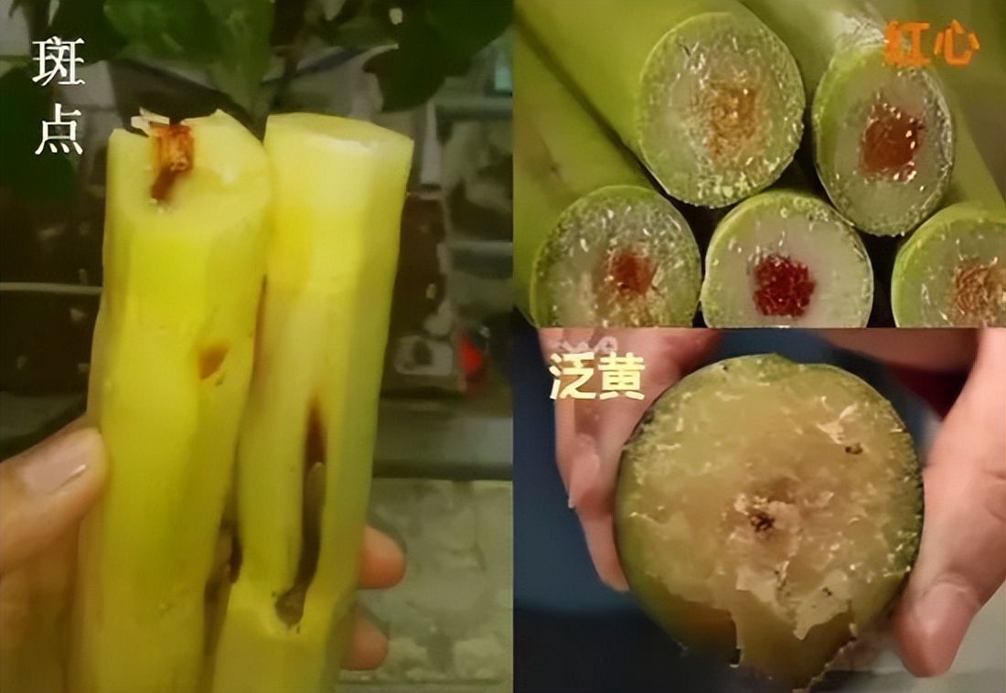 女生急性胃肠炎发生的腹痛,女人得急性肠胃炎送医院