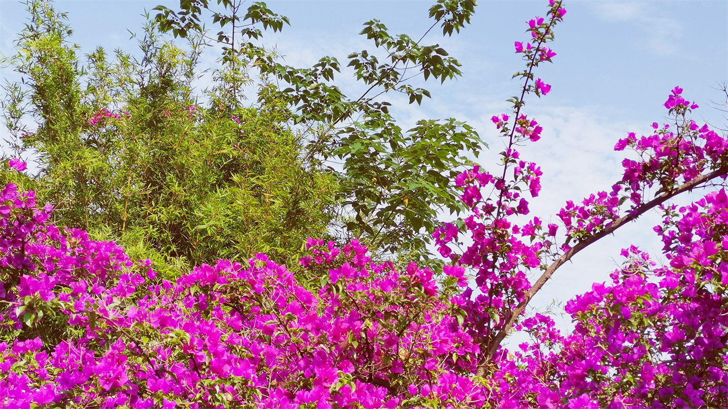 往事如风一切如梦,往事如风人生如梦岁月如歌