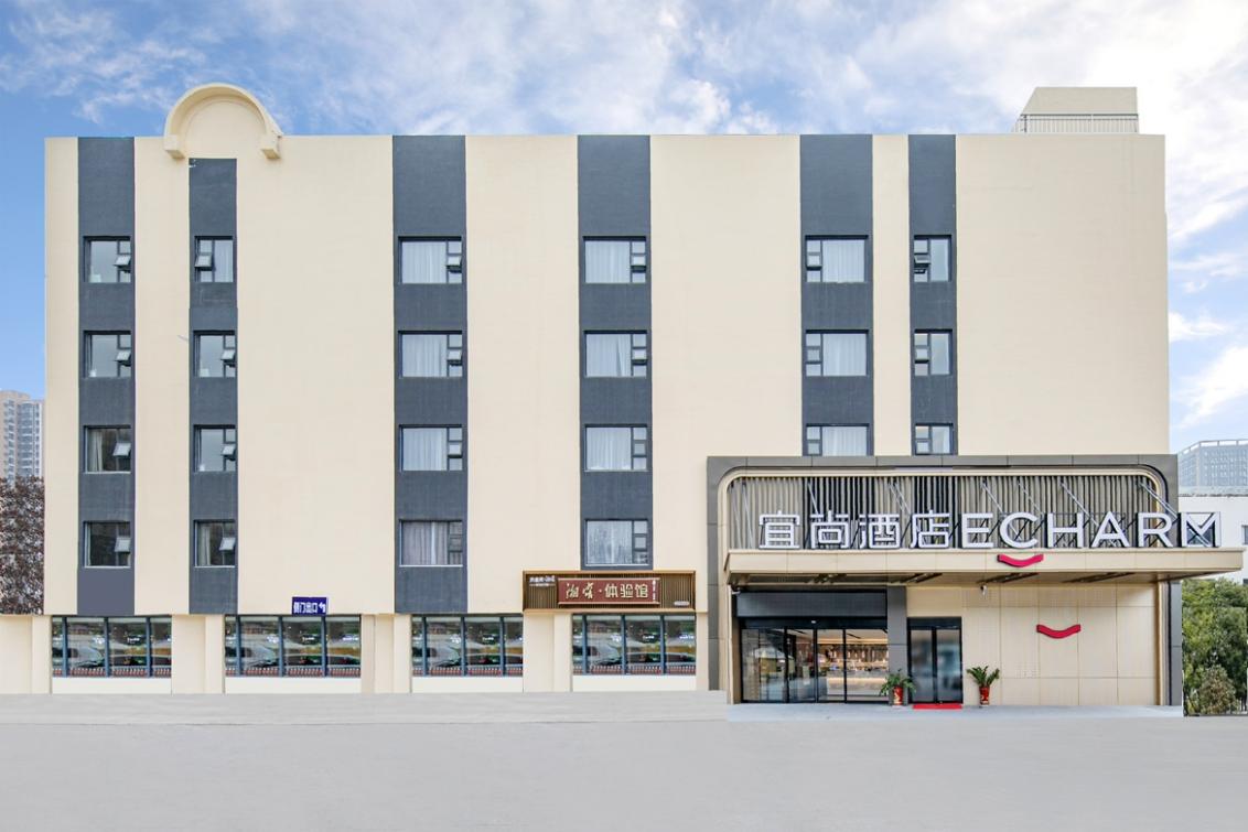 武汉早樱悄然绽放,三月早樱