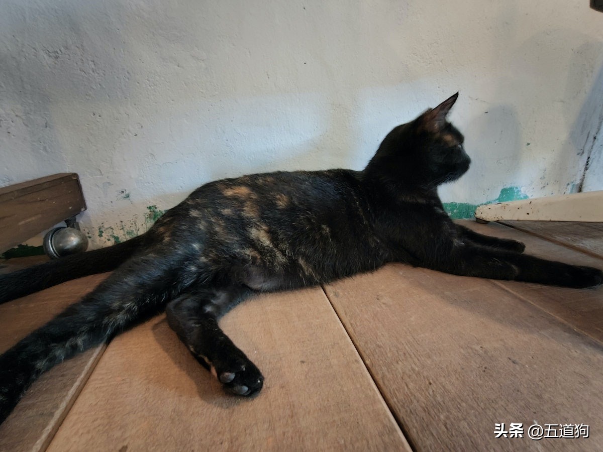 rogphone6,华硕rogphone