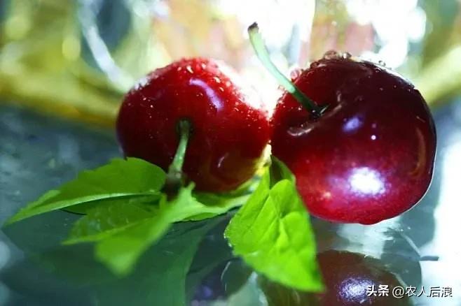 智利车厘子如何保鲜,车厘子过海怎么保鲜