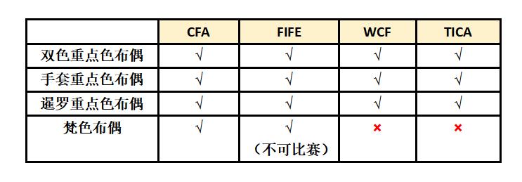 赛级布偶猫怎么查真伪,赛级布偶怎么鉴定