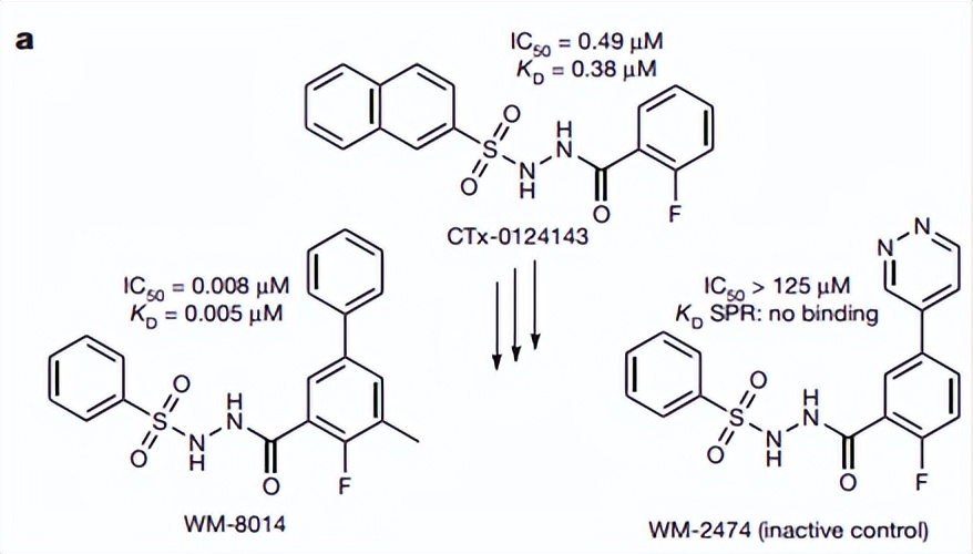 英矽智能提名用于ER+/HER2-乳腺癌治疗的靶点，辉瑞、拜尔已布局