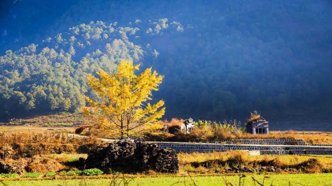 含有秋字的古诗100首飞花令,带秋字的诗句飞花令100句