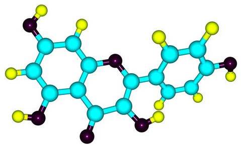 热带植物小果榕光合作用对光抑制的高敏感性
