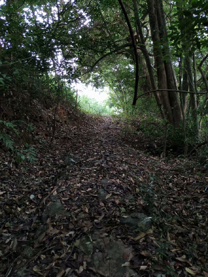 郴乐古道之水头江宜乐古道--广东省乐昌市庆云镇