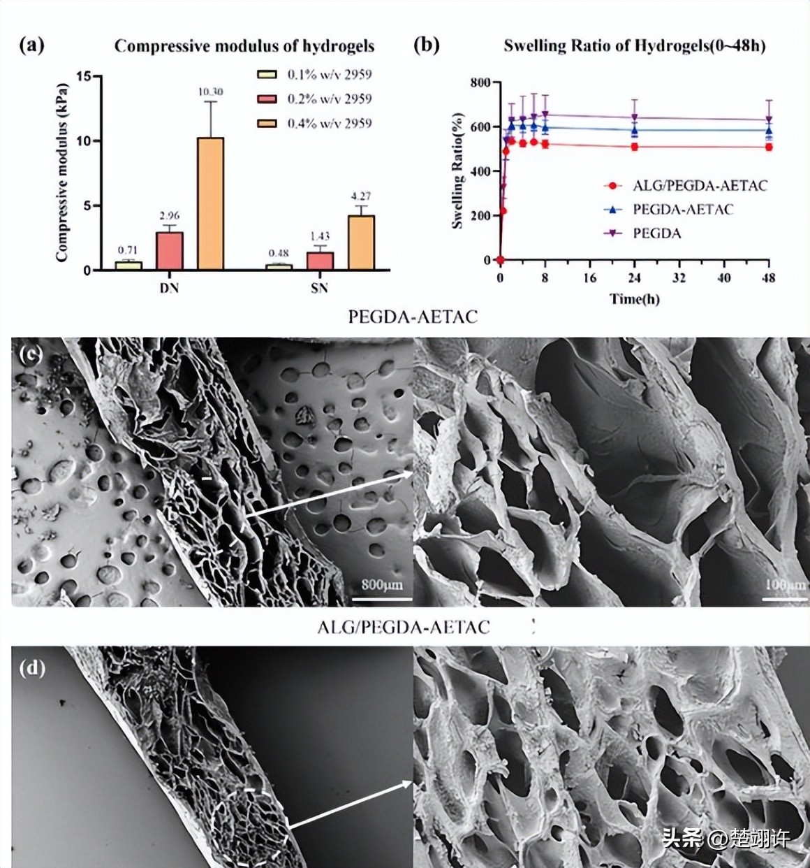 双网络水凝胶特点,bsa水凝胶
