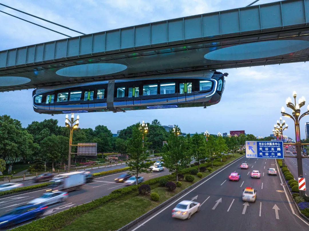 紧急提醒最近千万不要碰什么,野生蘑菇中毒高发季勿采勿食