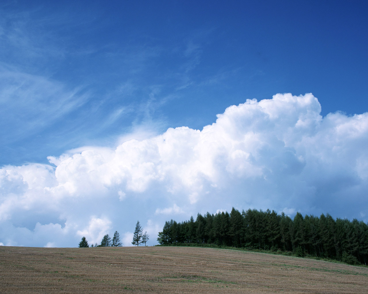 蓝天白云草地壁纸图片,蓝天白云草地风景壁纸高清唯美