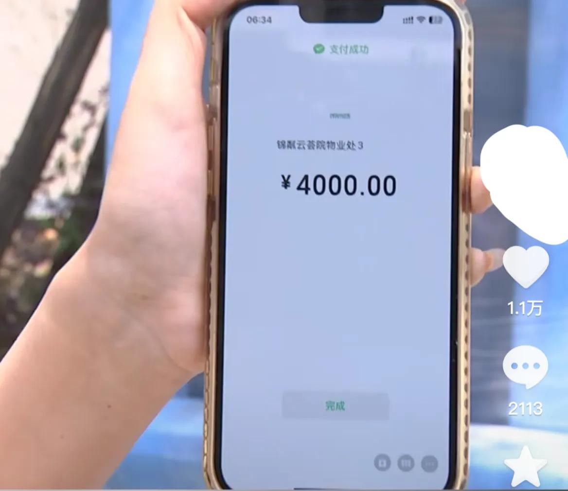 网上领养猫被骗1万,女子将猫寄养疑似被骗