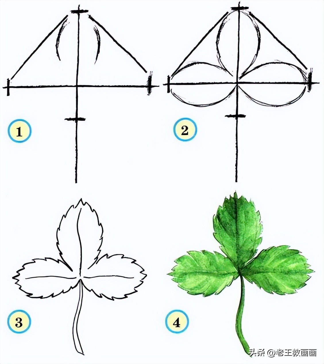 鸿运当头花卉简笔画,简笔画花卉大全简单又漂亮