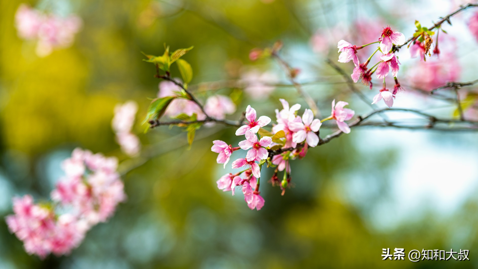 一个幸福女人的六个习惯,一个女人的幸福三大条件