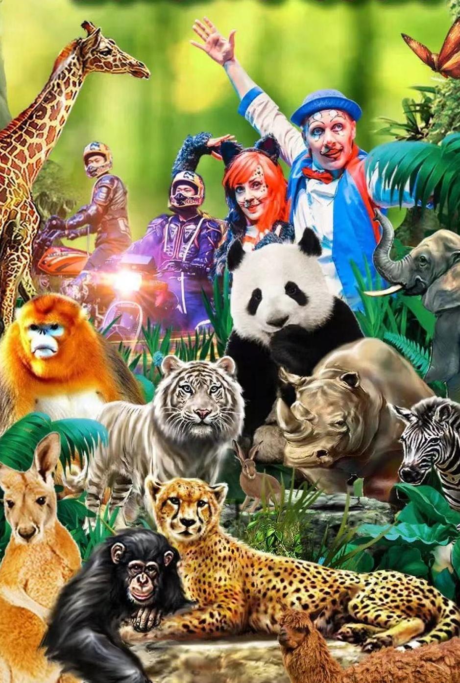 百年盛世看曲江,看曲江全景