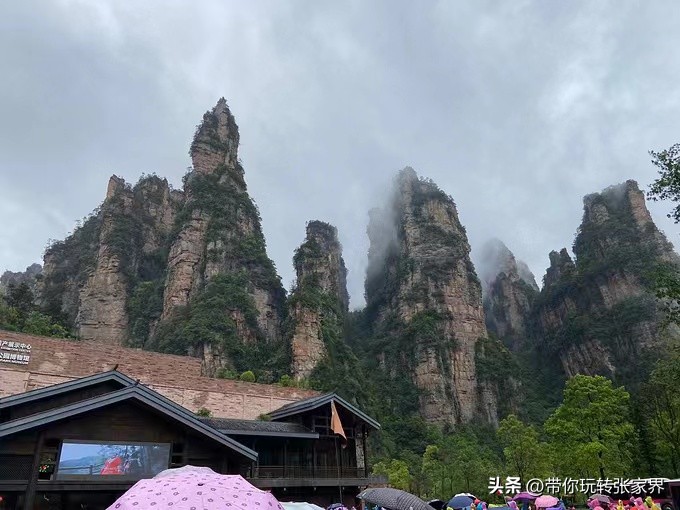 自驾张家界5天4晚旅游攻略,去张家界五日游攻略