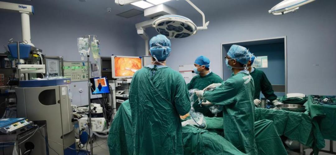 给人才满满回报！顺德这样引来“金凤凰”|919金凤凰①