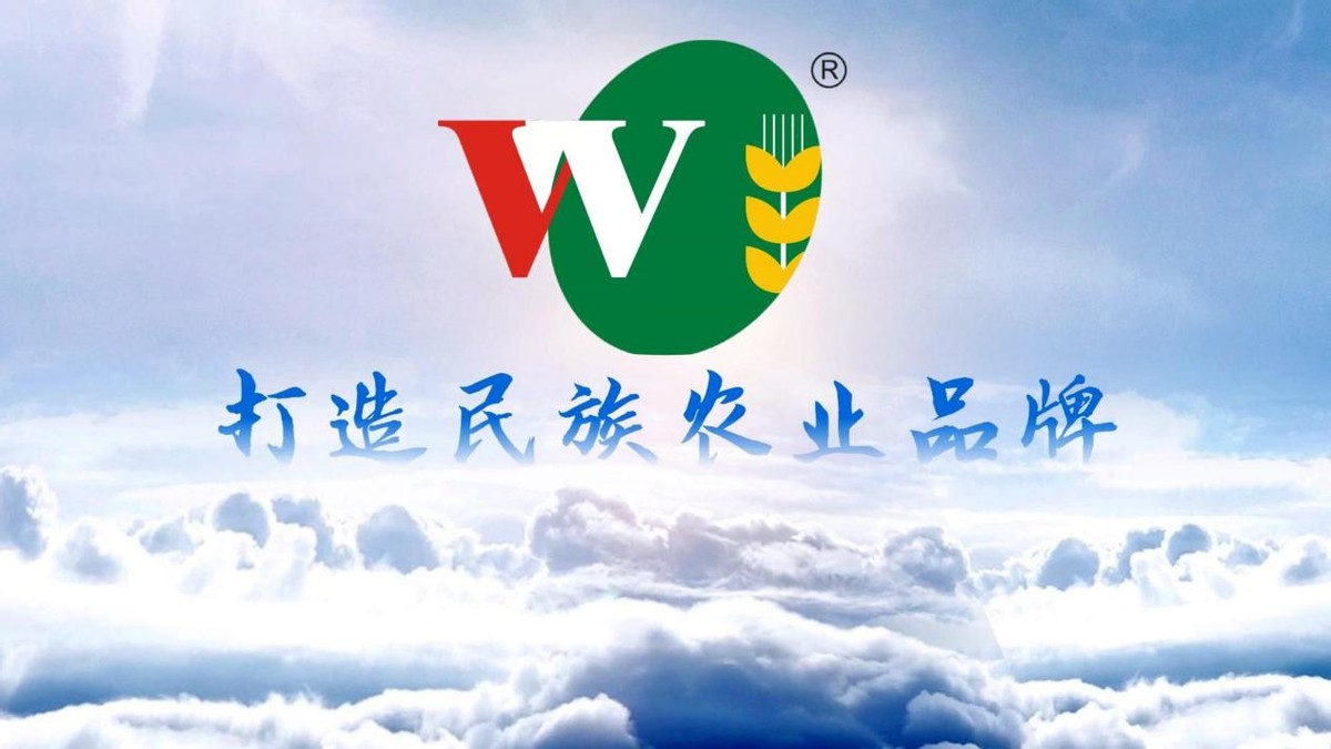 奋斗新起点-王瑞峰董事长事迹入编中国百名优秀企业家奋斗史