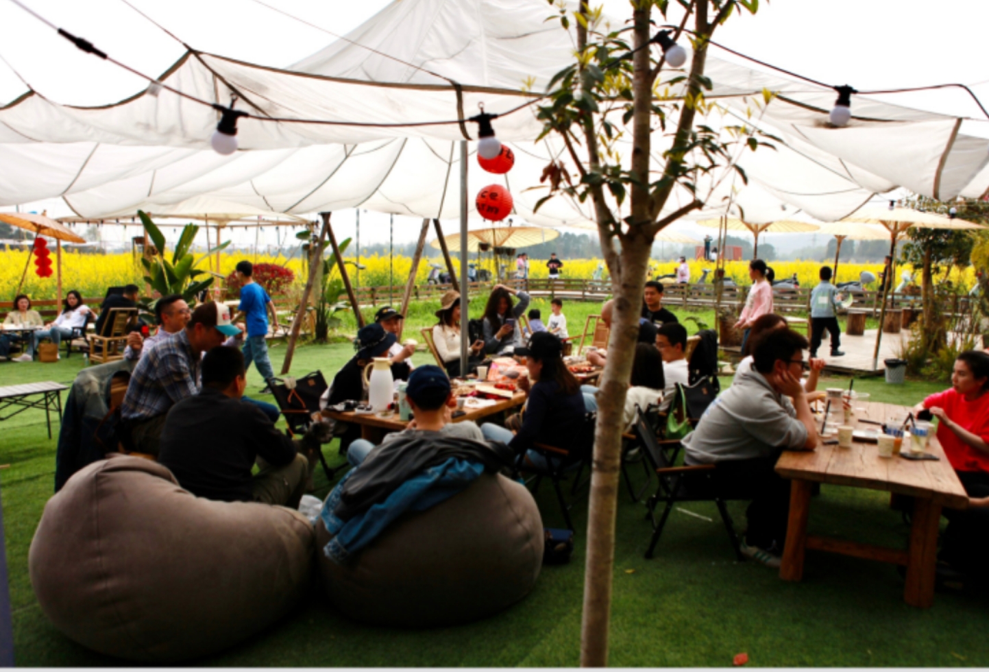 半年客流量飙升10倍探访乡村咖啡店的流量密码