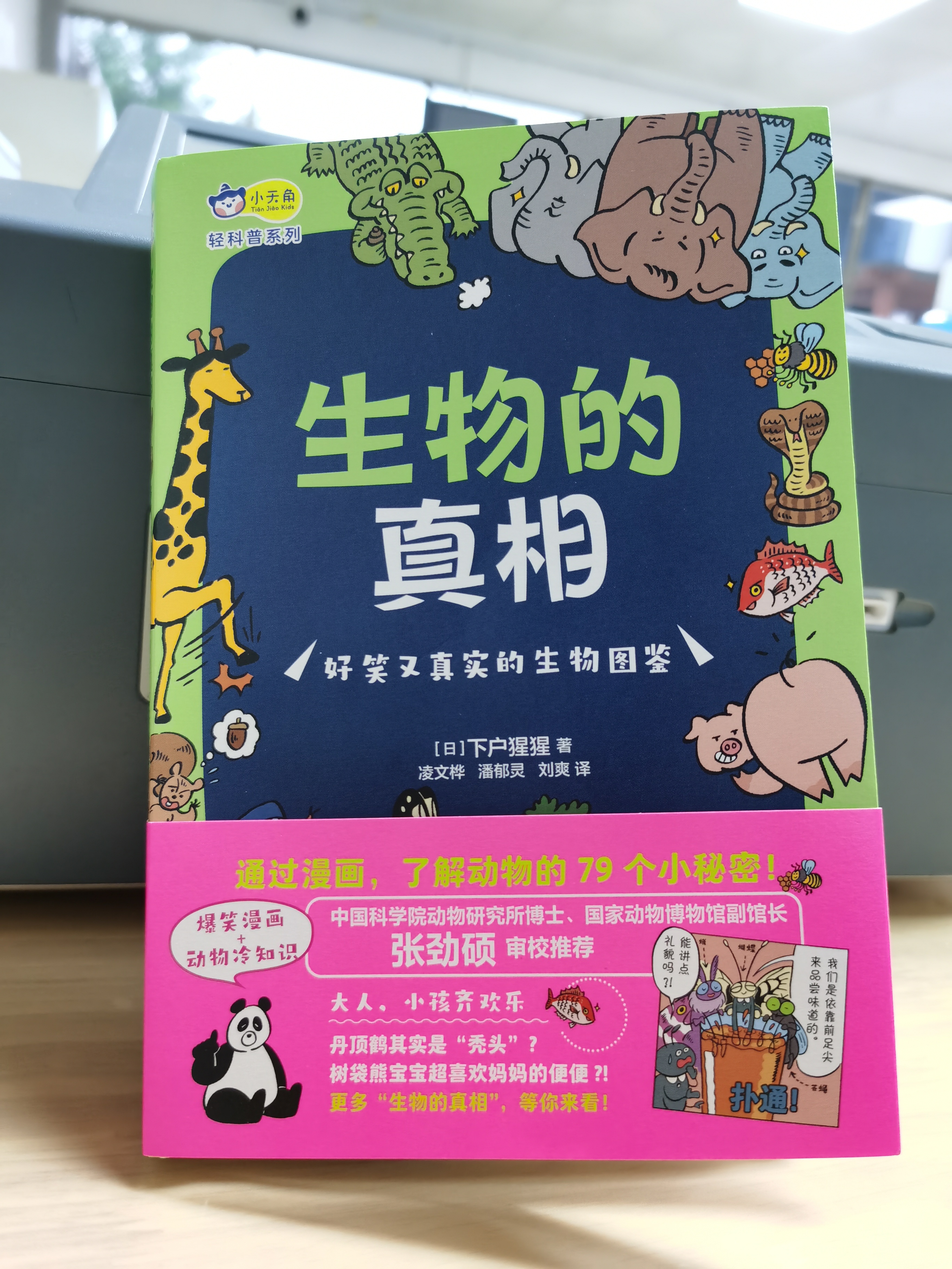 熊猫有几条腿是四条还是两条,熊猫有几根脚趾几根手指