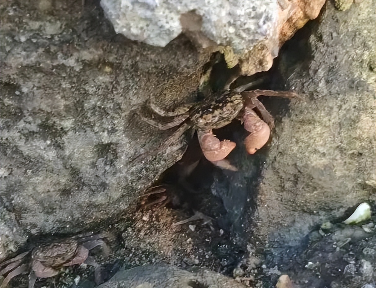 北海涠洲岛上买海鲜怎么避坑,北海涠洲岛有什么好玩的推荐