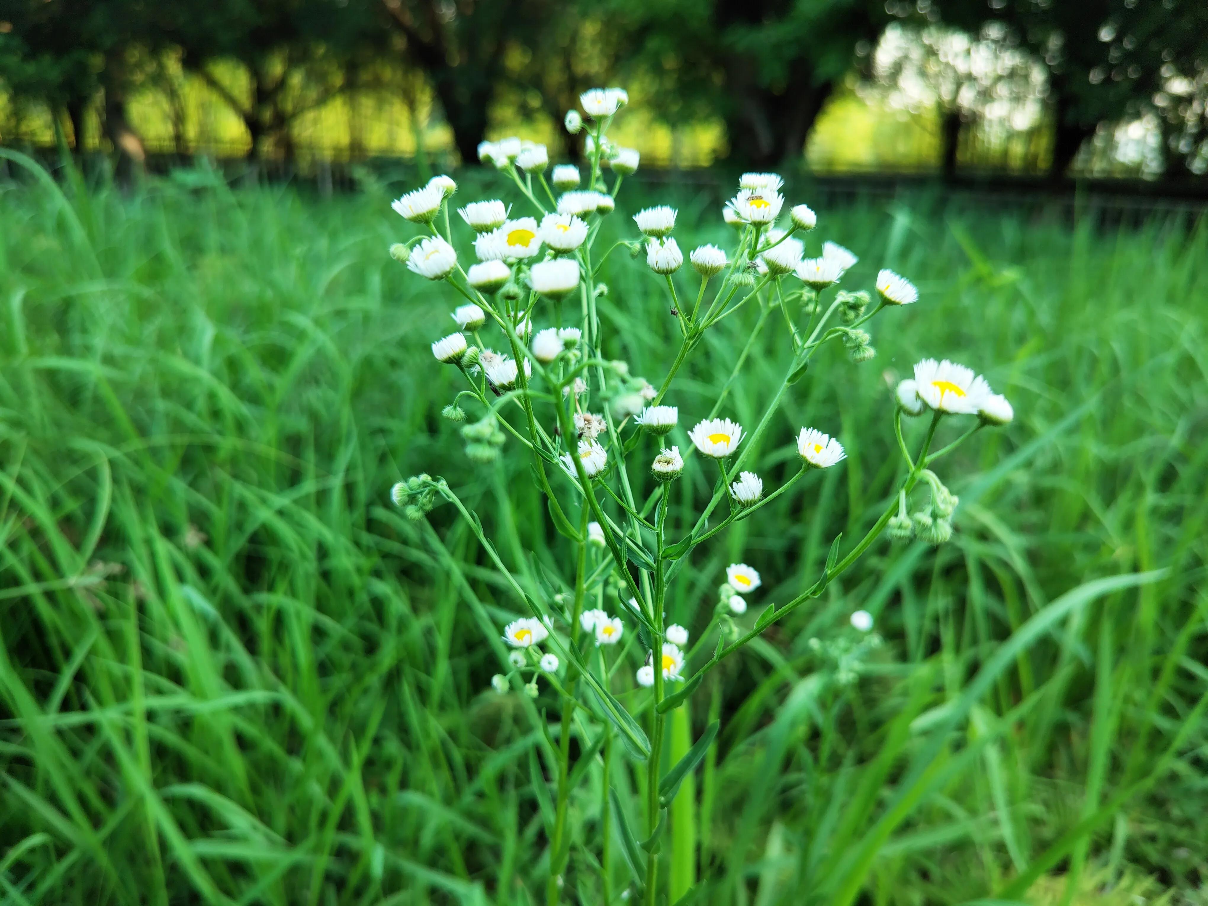 浅论财务风险管理,小白如何入门股票账户管理