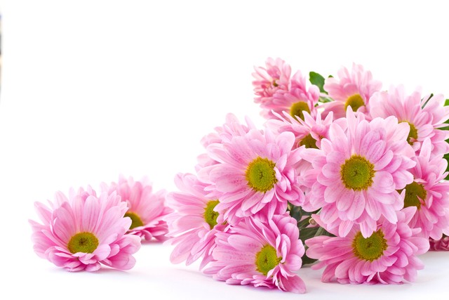 涓勾浠ュ悗濠氬Щ,涓勾濠氬Щ瀹炴儏