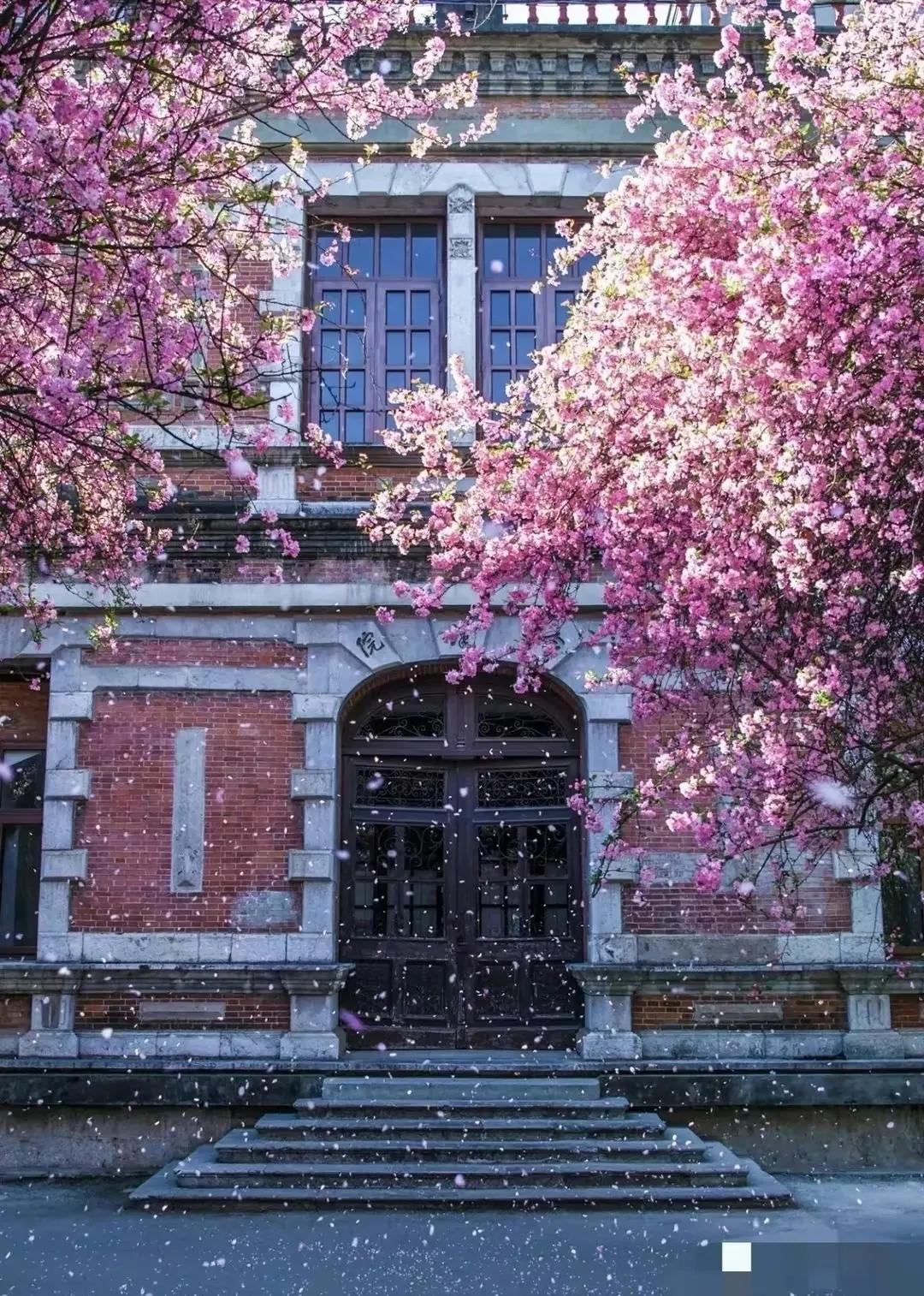 当年云南省拒绝教育部建议，从此云南省遗憾错失985大学