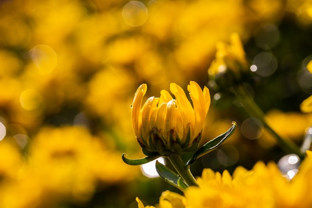 营销策略微商运营策略,微商运营精准营销用户画像