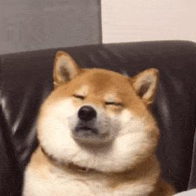 500块钱活一个月的诀窍,500元怎么度过一个月