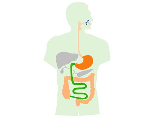 孩子过年吃撑,小孩过年吃多了怎么办