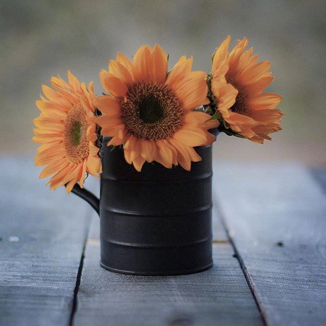 人生格言心烦心累就看看,心烦人生哲理句子