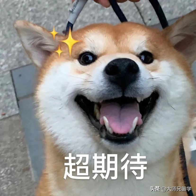 马来西亚第二家园签证申请条件,马来西亚入境签证及申请流程