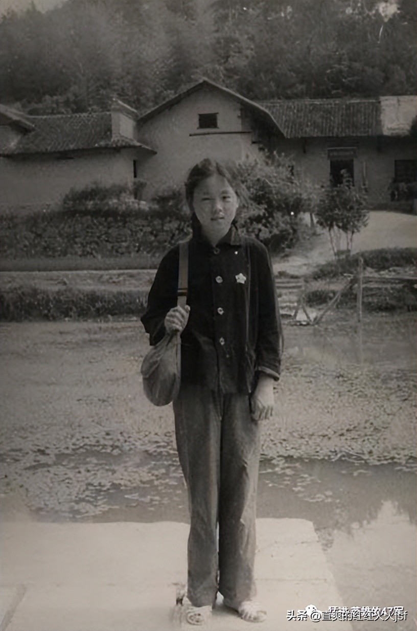 我和我的三个妈妈,我的妈妈小短文二年级