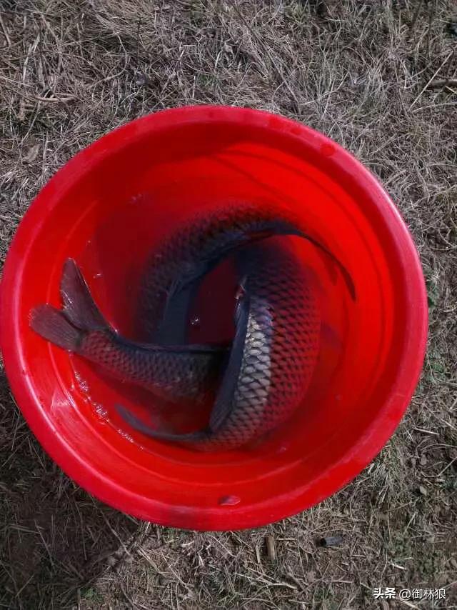 老燕窝,大门口的燕窝