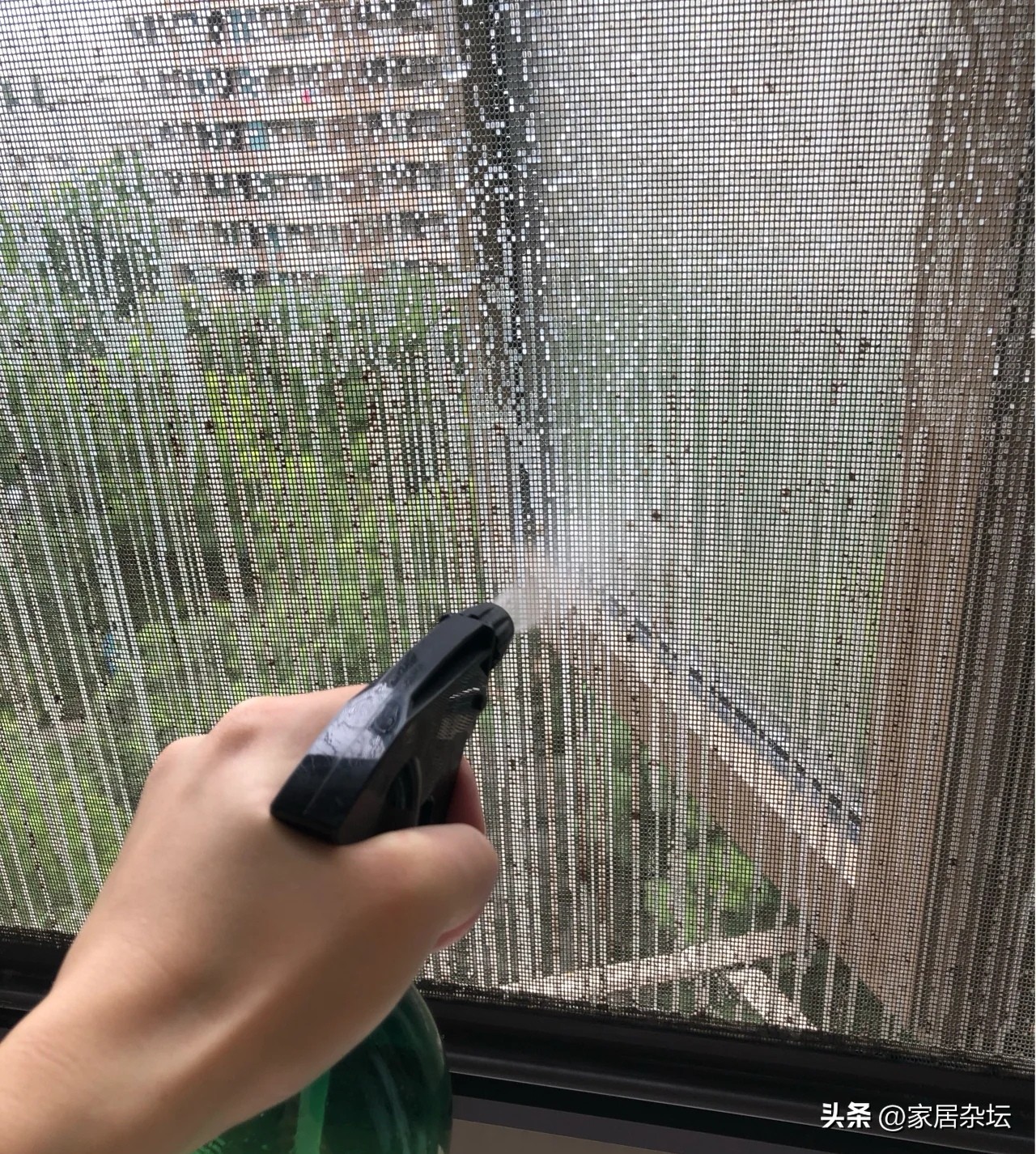 金刚网纱窗市场现状,金刚网纱窗总掉下来