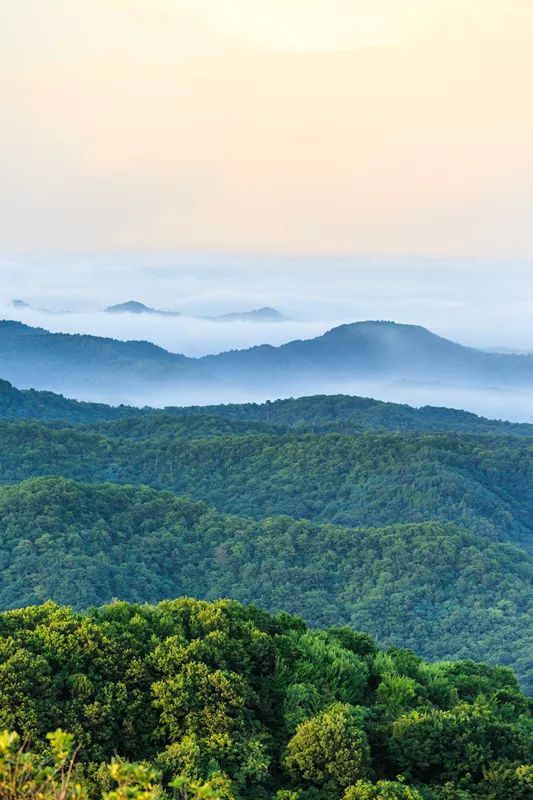 避暑游必去的地方,避暑推荐旅游攻略