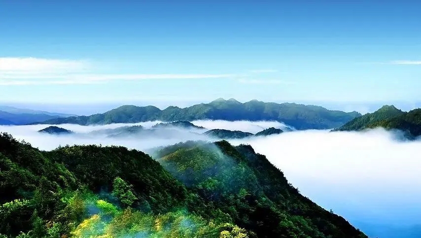 极其罕见！江西首现活体“牢底坐穿蝶”雌蝶，1只为何价值百万？