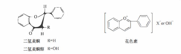 含黄酮类成分的药材有,陈皮的黄酮类成分作用