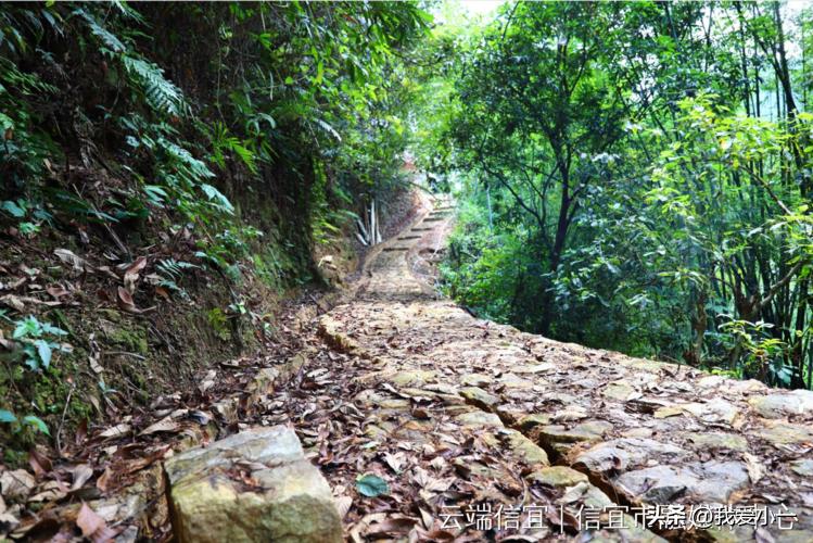 云南楚雄古建筑屋顶,云南楚雄守护古建筑