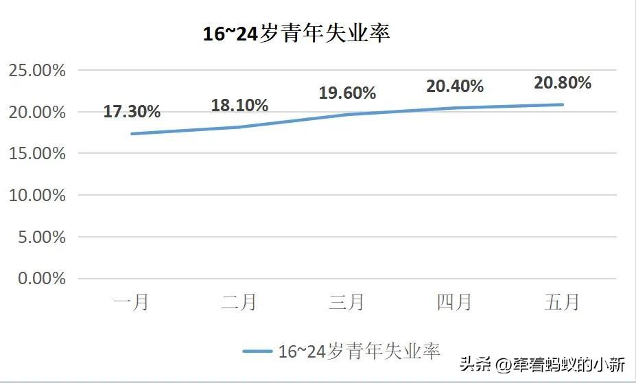 青年失业率高企，突破了20%，毕业生“慢就业”是妥协还是智慧？