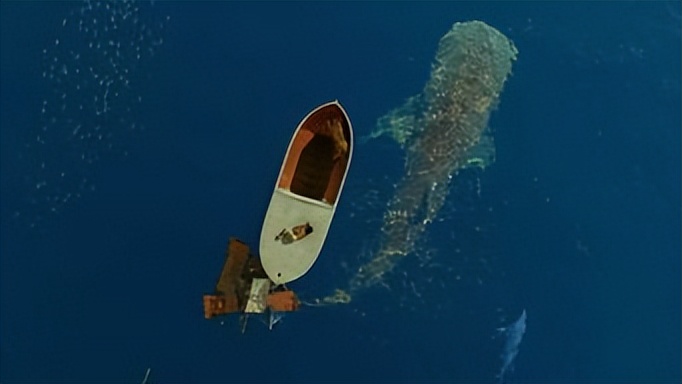 李安导演少年派的奇幻漂流解析,李安少年派的奇幻漂流后期制作