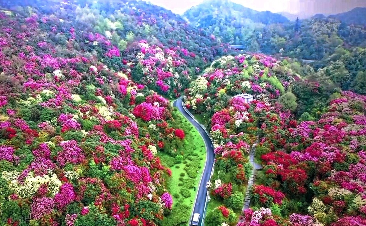 10首春游诗词看古人春天有多浪漫,十首最美春日诗词邂逅最美春愁